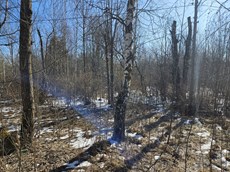ГП16816158.Земельный участок.Общий вид объекта_10.jpg
