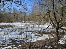 ГП16816158.Земельный участок.Общий вид объекта_10.jpg