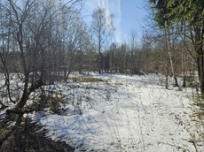 ГП16816158.Земельный участок.Общий вид объекта_10.jpg