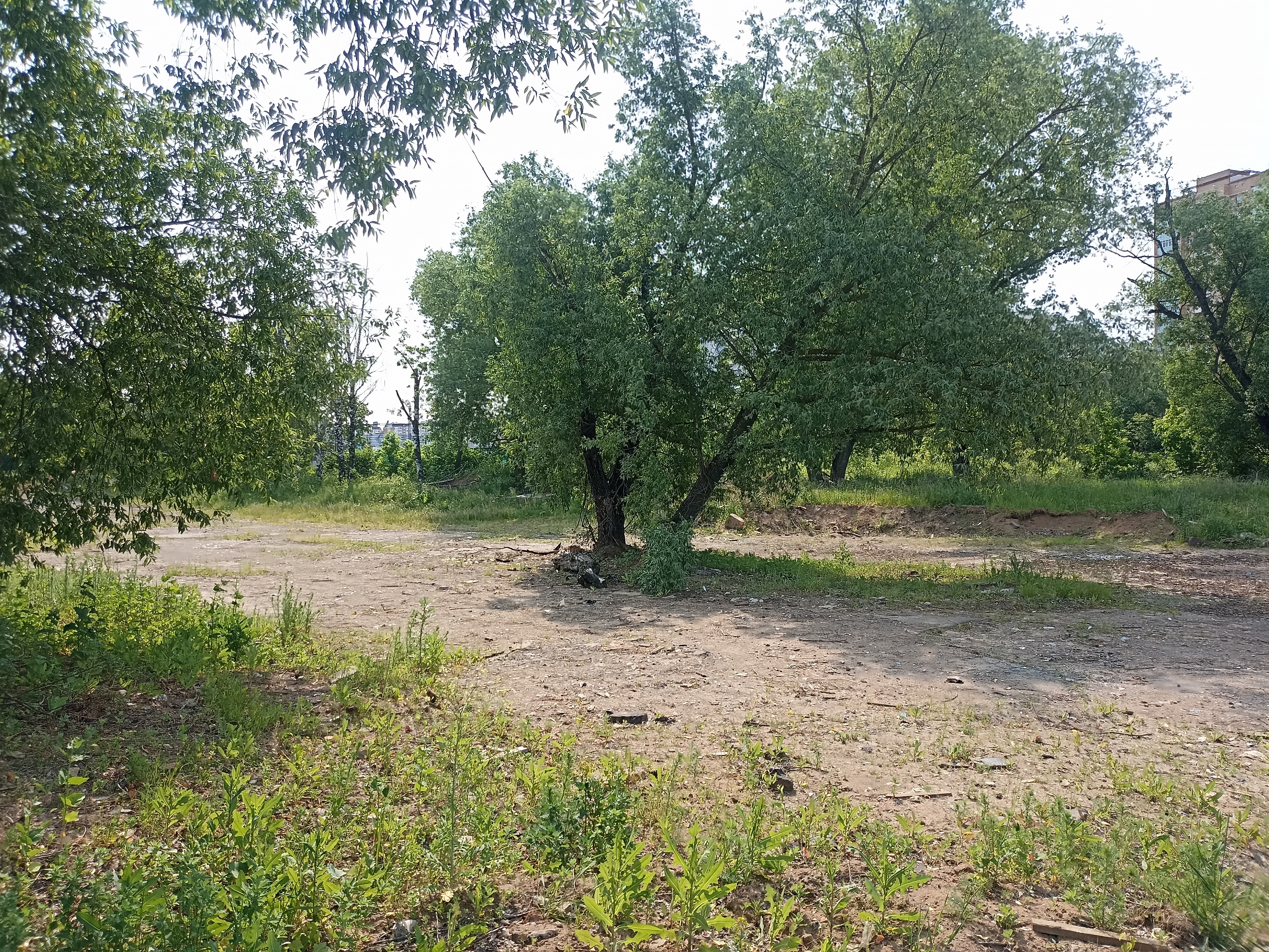 ГП16963232.Земельный участок.Общий вид объекта_4.jpg