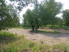 ГП16963232.Земельный участок.Общий вид объекта_4.jpg