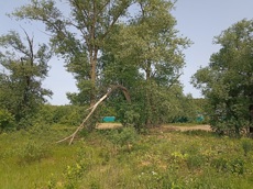 ГП16963232.Земельный участок.Общий вид объекта_8.jpg