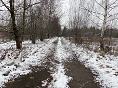 ГП16963510.Некапитальный объект.Общий вид объекта_10.jpg