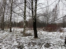 ГП16963510.Некапитальный объект.Общий вид объекта_10.jpg
