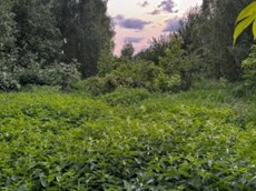 ГП16963510.Некапитальный объект.Общий вид объекта_10.jpg