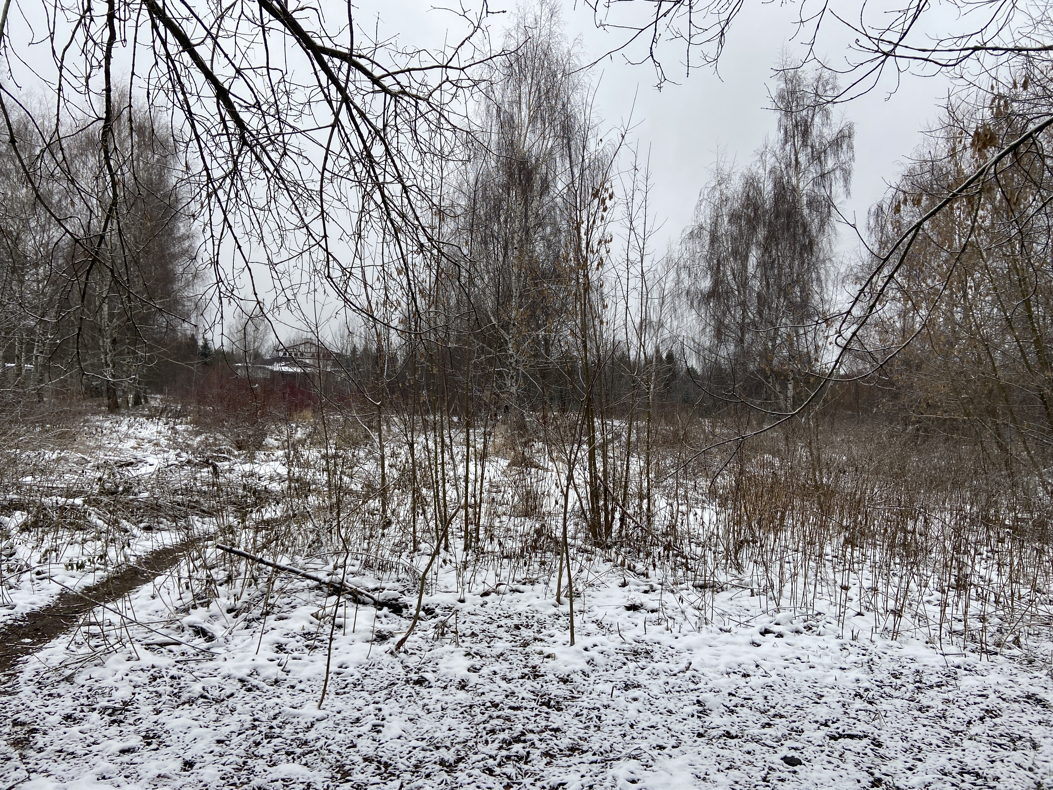 ГП16963510.Некапитальный объект.Общий вид объекта_3.jpg