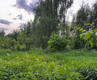 ГП16963510.Некапитальный объект.Общий вид объекта_10.jpg