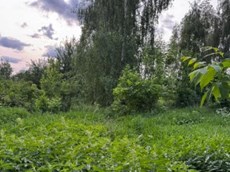 ГП16963510.Некапитальный объект.Общий вид объекта_10.jpg