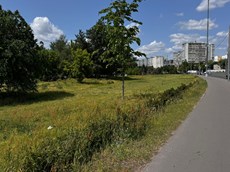 ГП16963518.Некапитальный объект.Общий вид объекта_5.jpeg