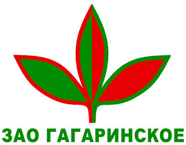 лого.jpg