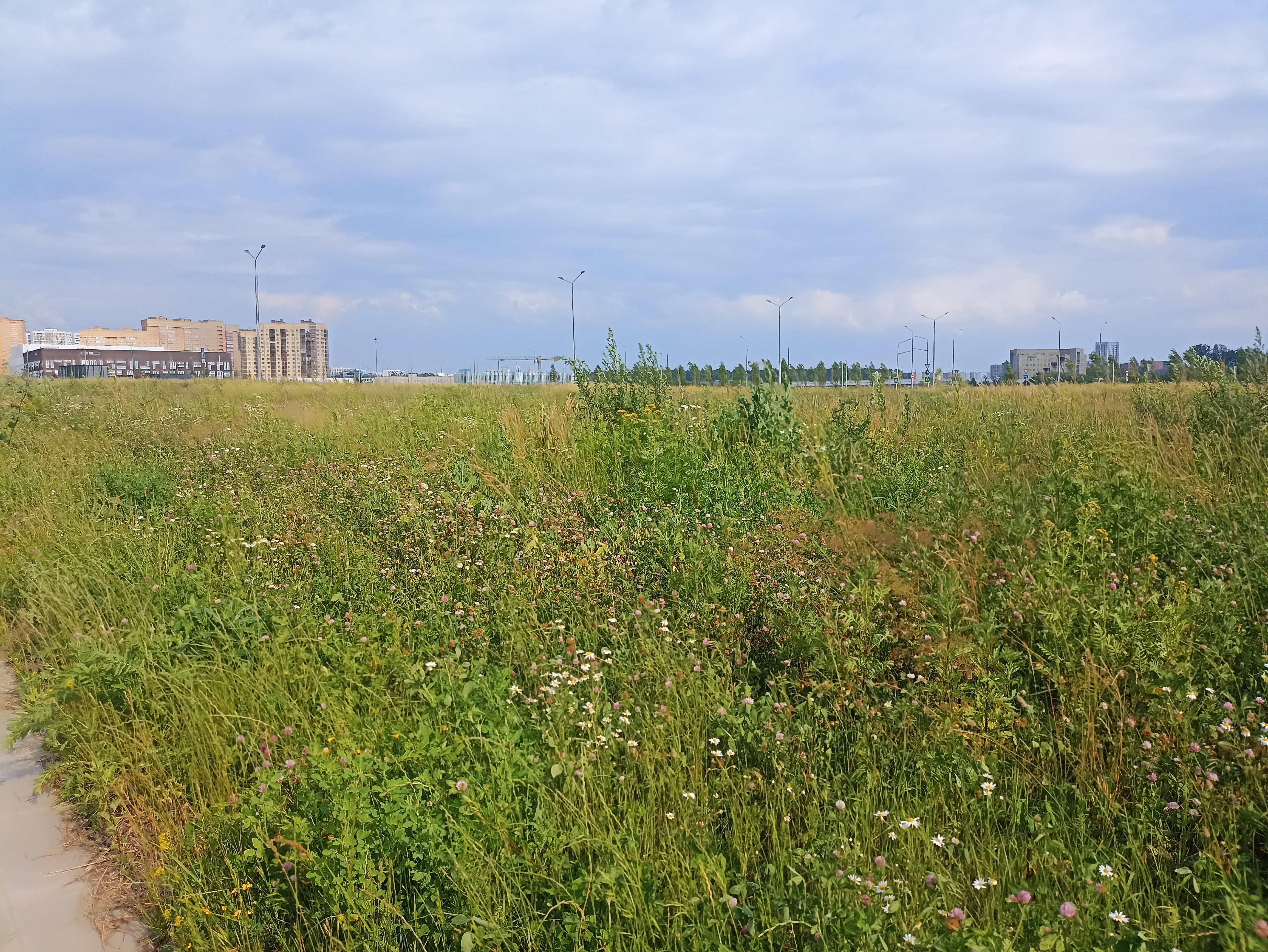 ГП16964416.Земельный участок.Общий вид объекта_7.jpg