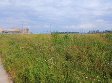 ГП16964416.Земельный участок.Общий вид объекта_7.jpg