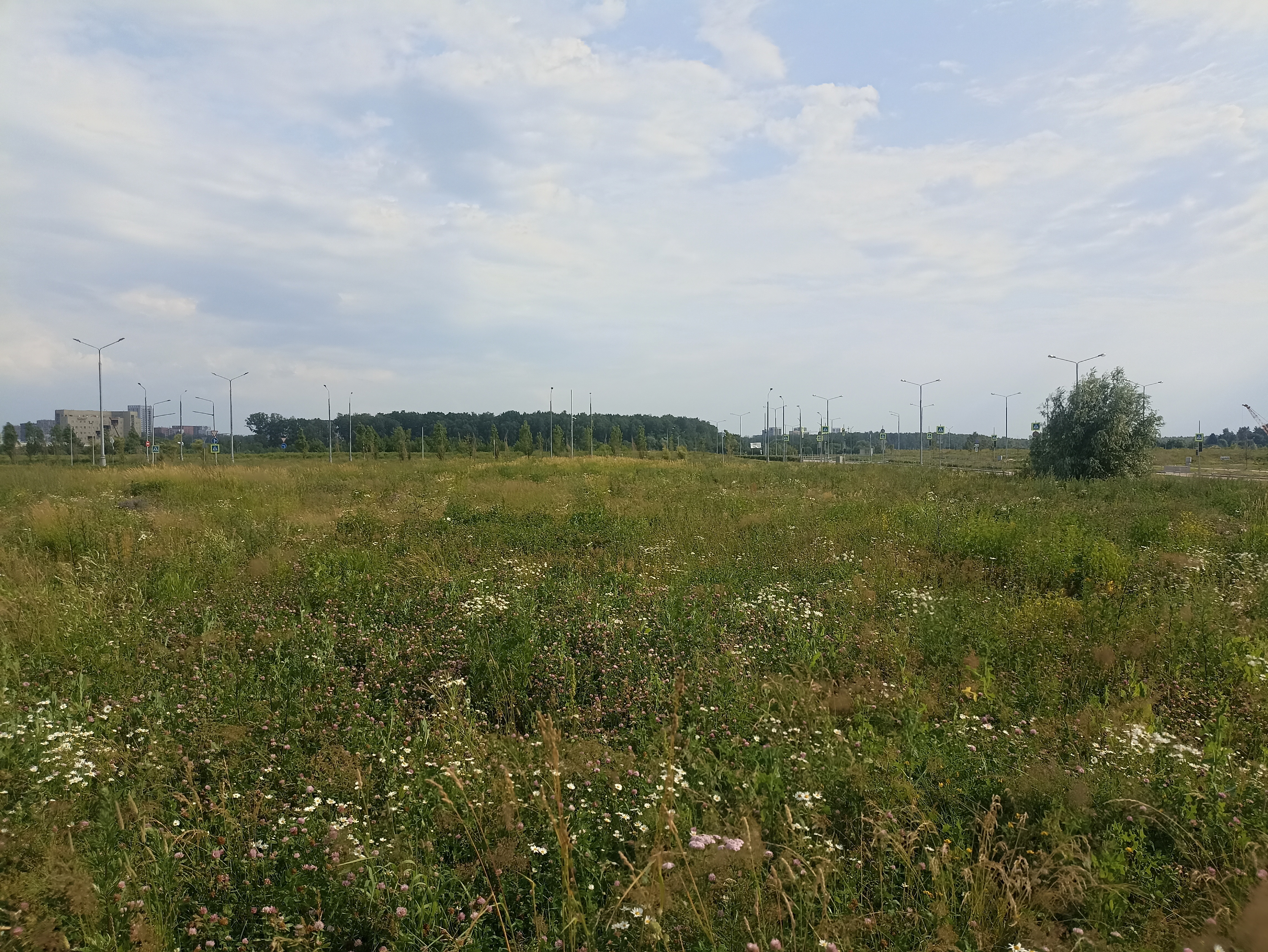 ГП16964416.Земельный участок.Общий вид объекта_3.jpg