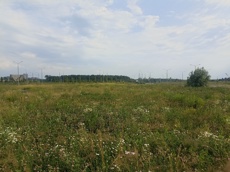 ГП16964416.Земельный участок.Общий вид объекта_3.jpg