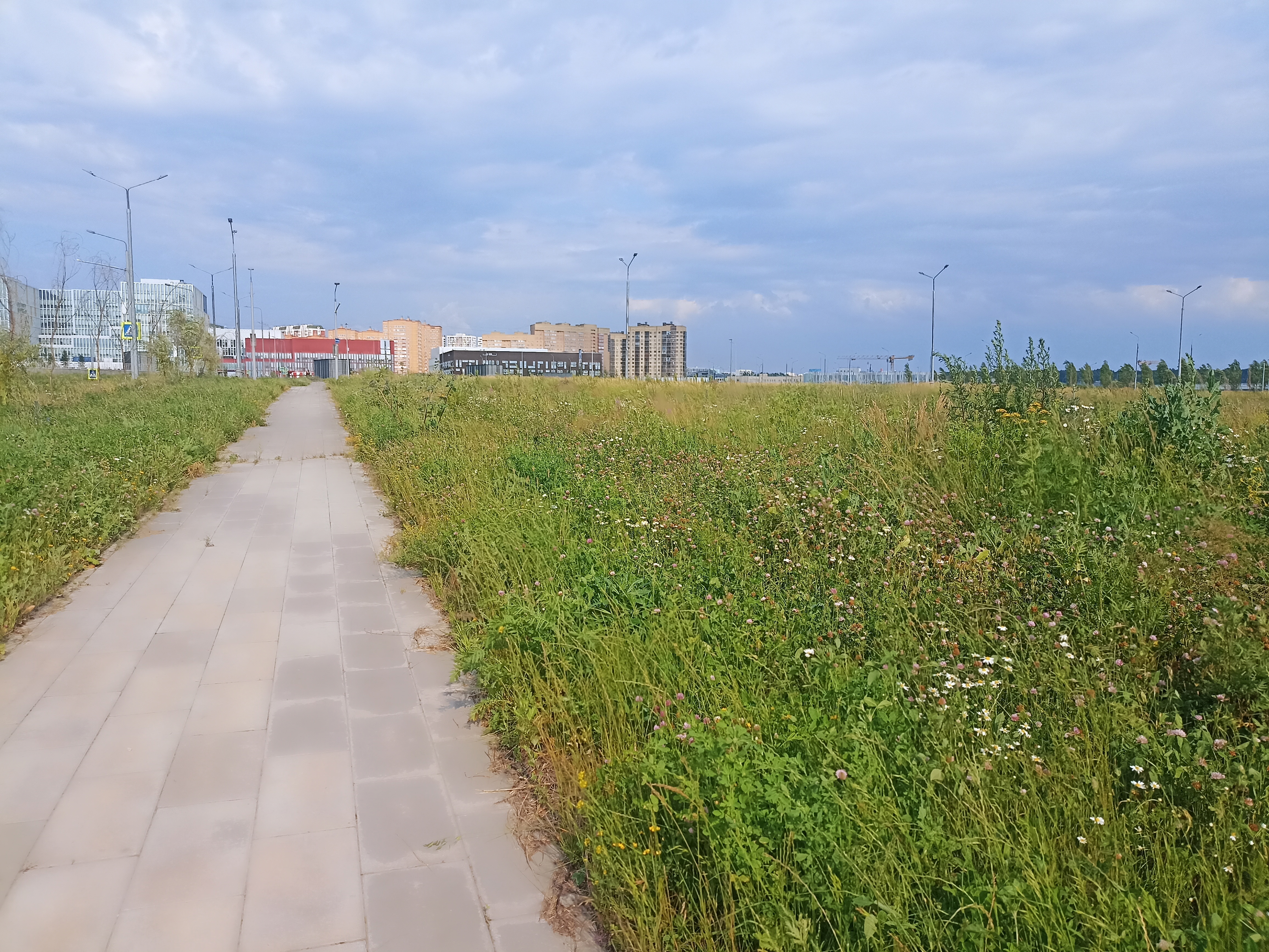 ГП16964416.Земельный участок.Общий вид объекта_8.jpg