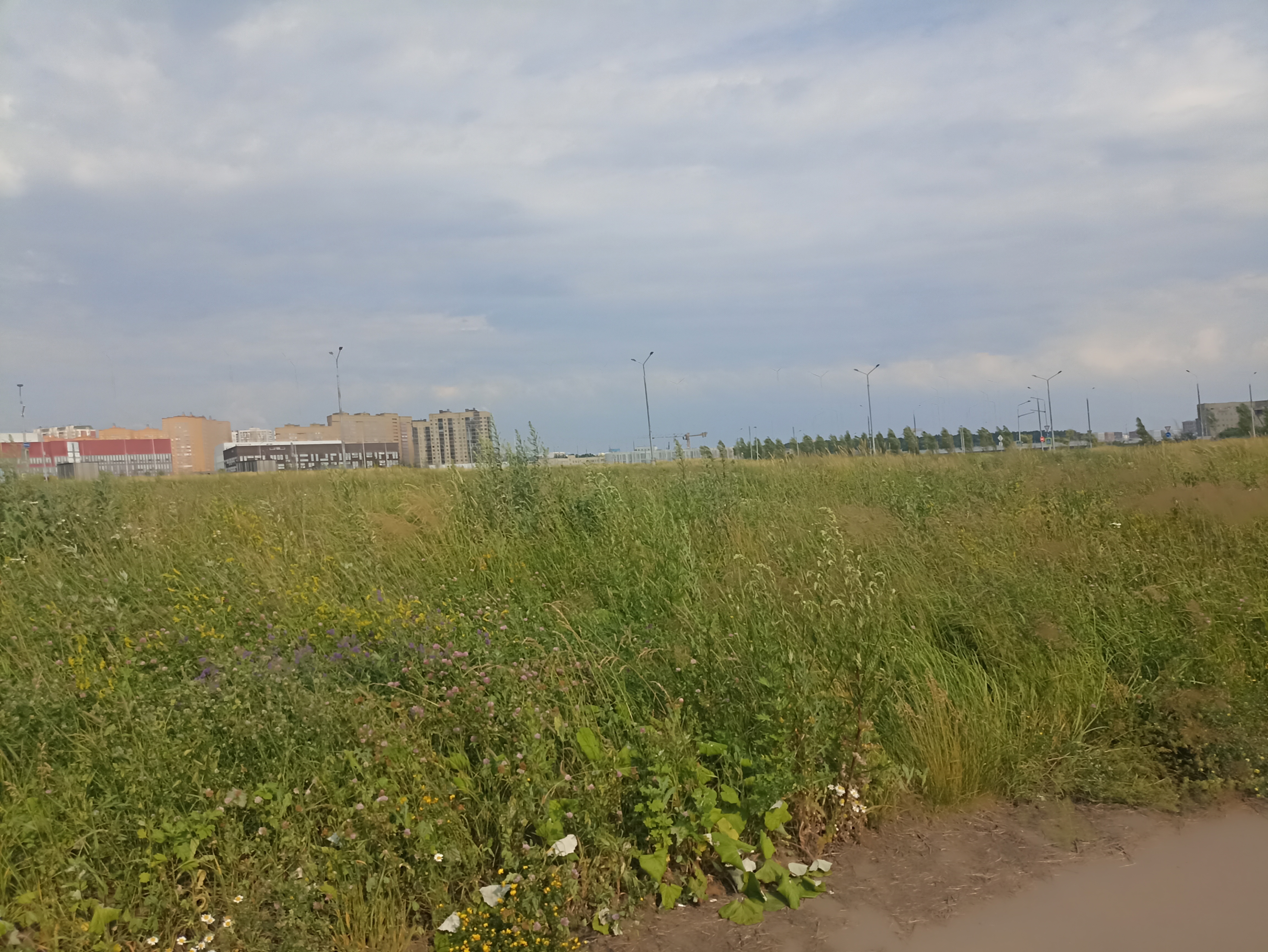 ГП16964416.Земельный участок.Общий вид объекта_9.jpg