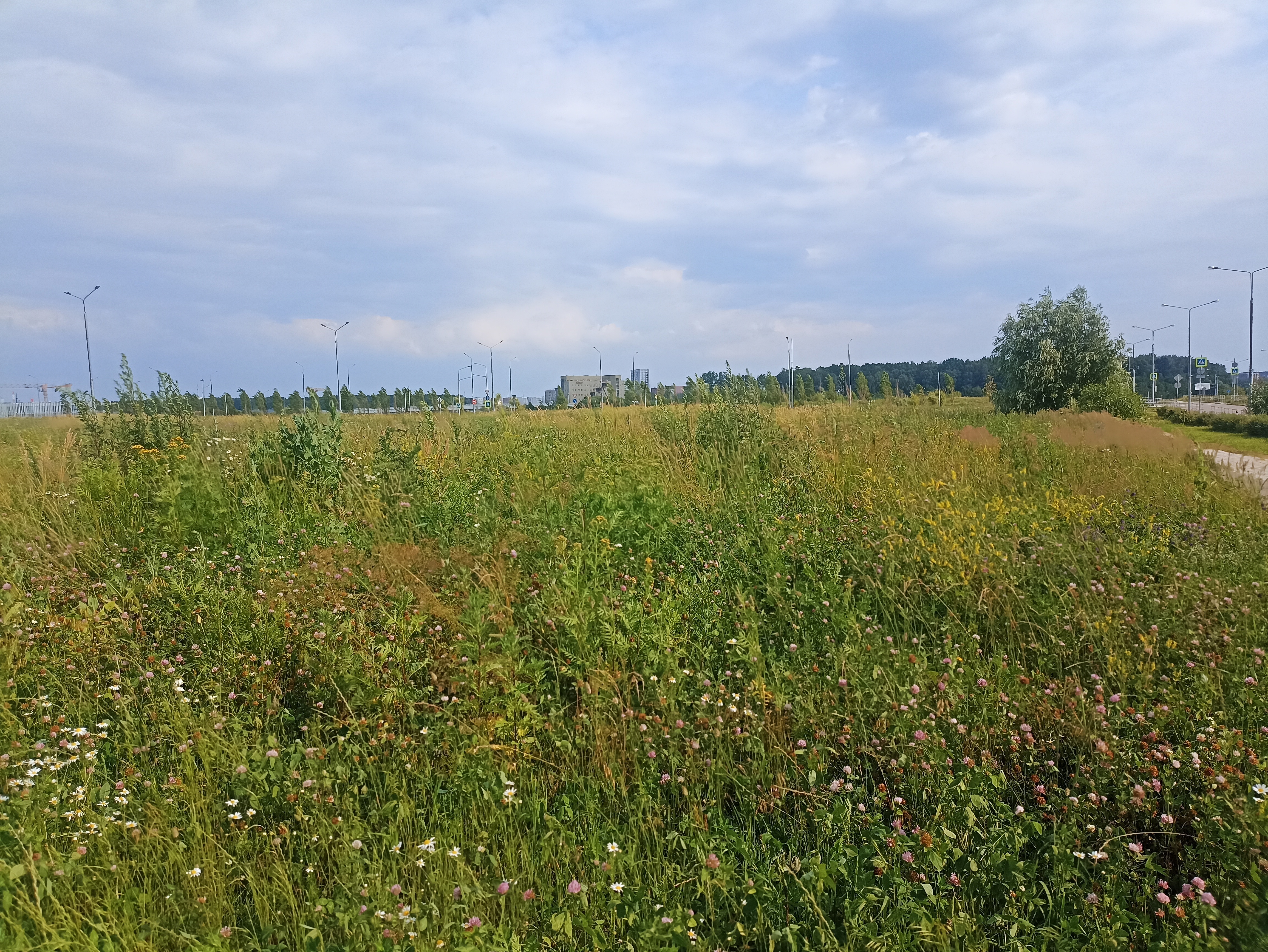 ГП16964416.Земельный участок.Общий вид объекта_6.jpg