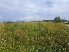 ГП16964416.Земельный участок.Общий вид объекта_6.jpg