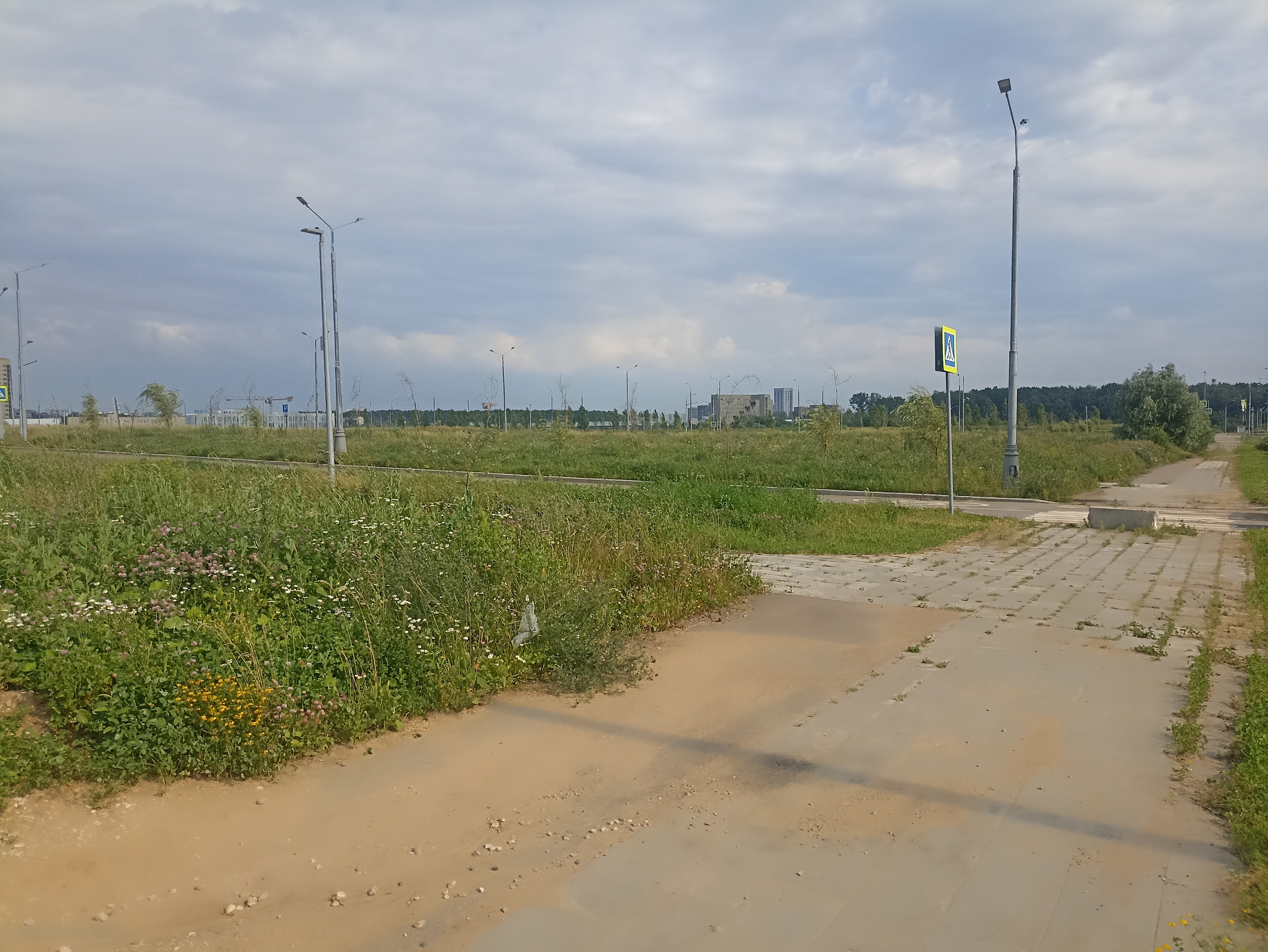 ГП16964416.Земельный участок.Подъездные пути_2.jpg