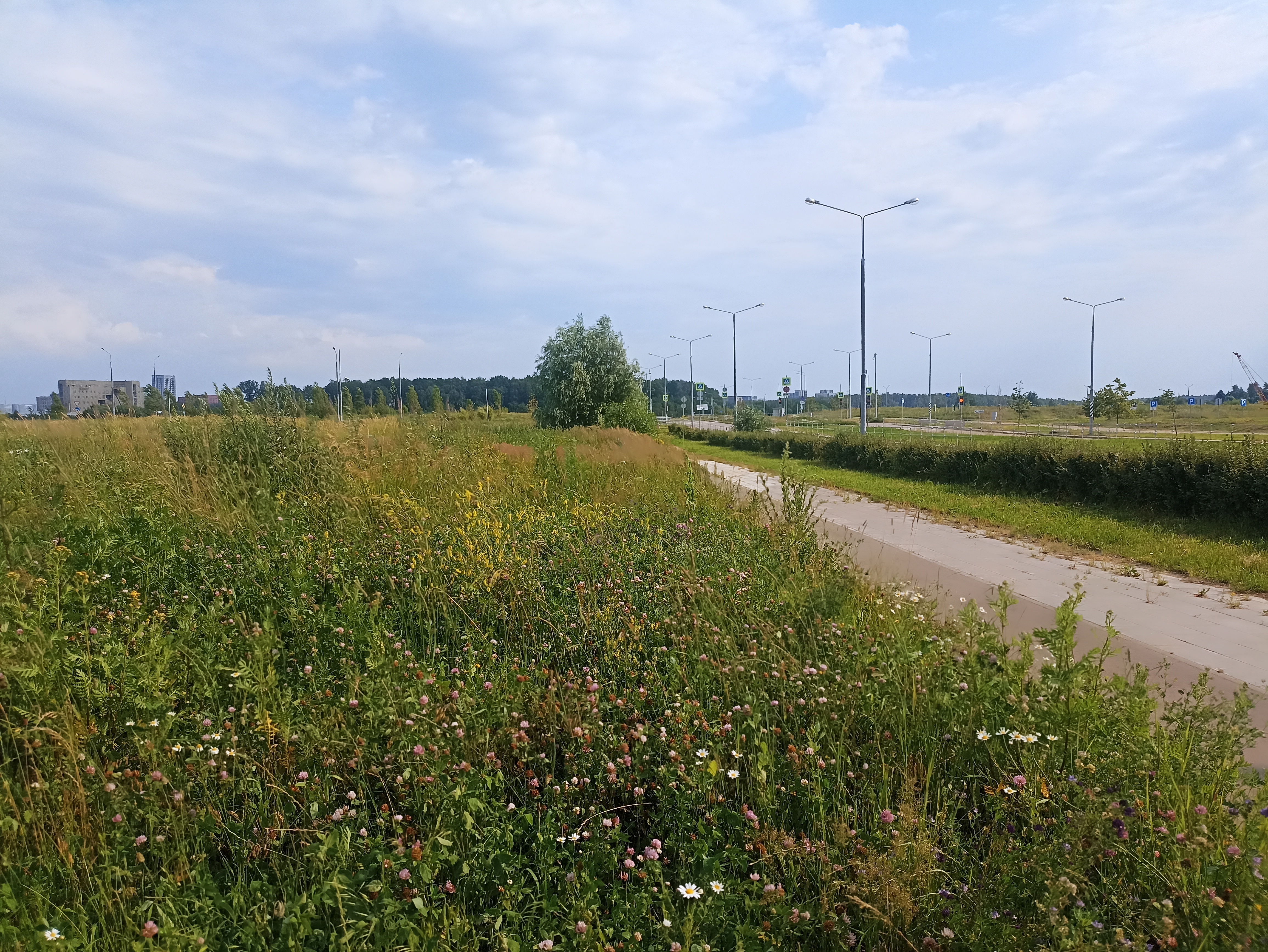 ГП16964416.Земельный участок.Общий вид объекта_5.jpg