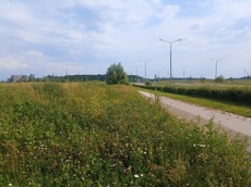 ГП16964416.Земельный участок.Общий вид объекта_5.jpg