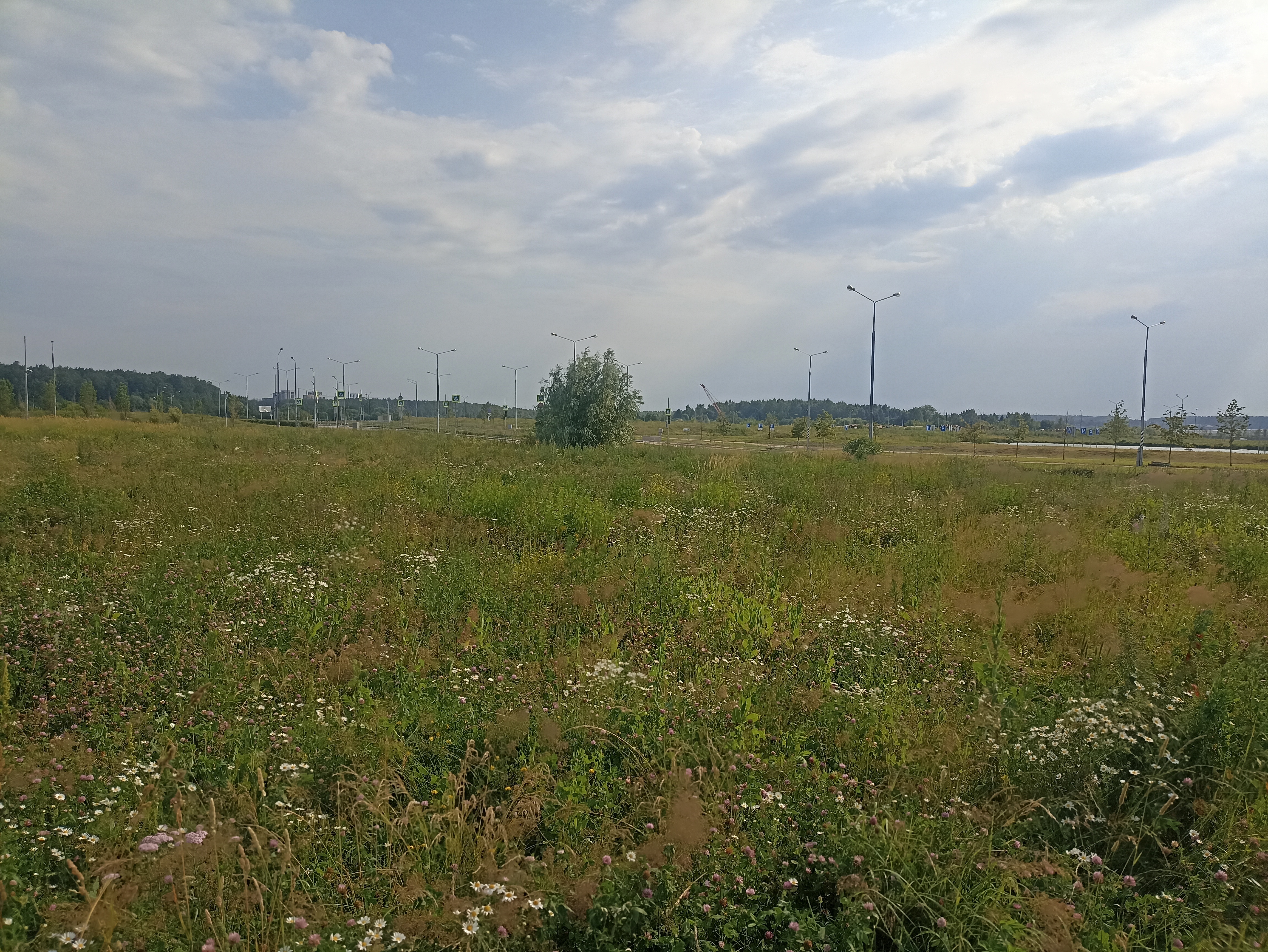 ГП16964416.Земельный участок.Общий вид объекта_4.jpg