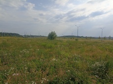 ГП16964416.Земельный участок.Общий вид объекта_4.jpg