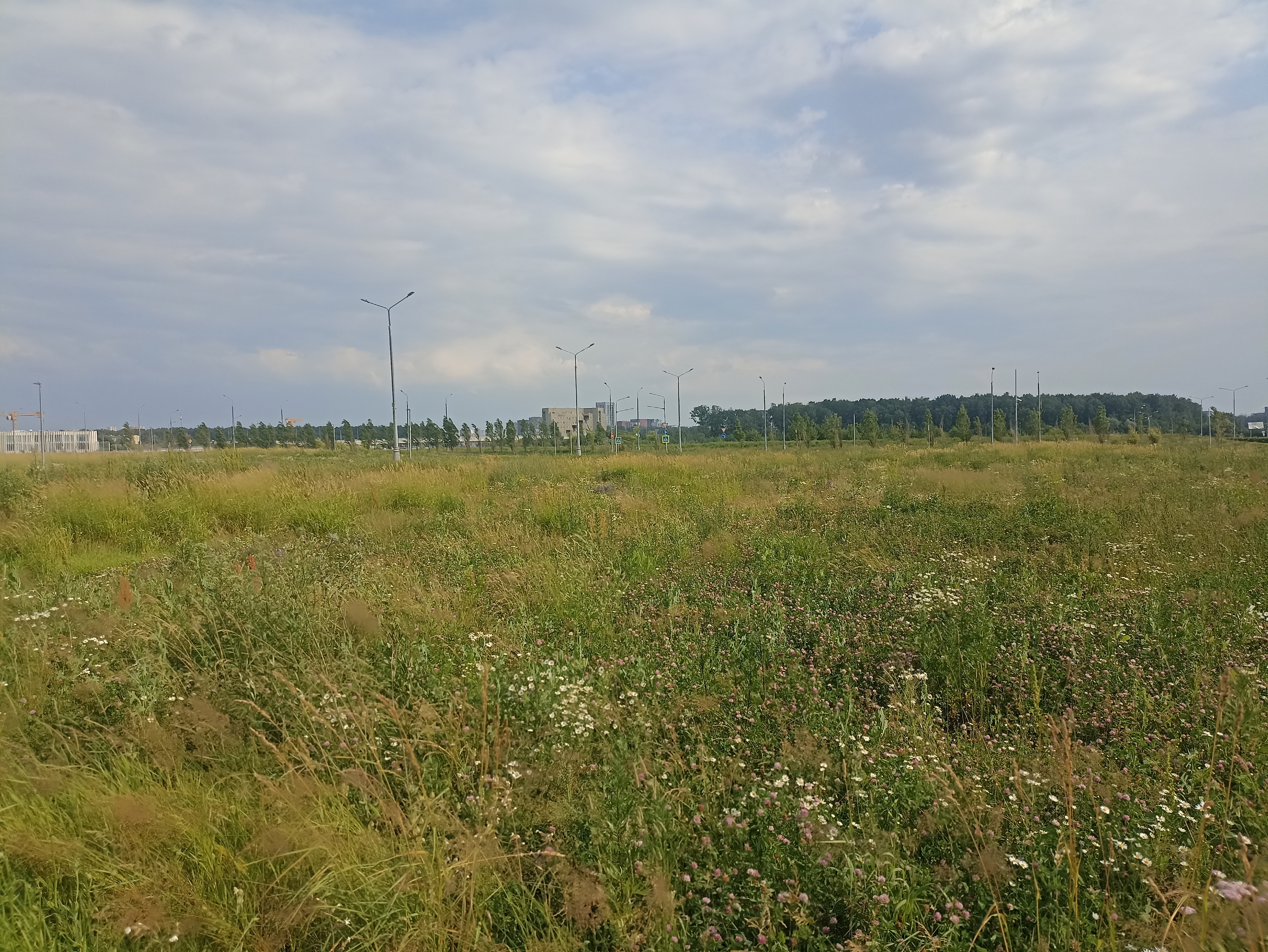 ГП16964416.Земельный участок.Общий вид объекта_2.jpg