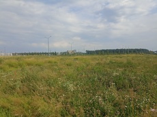 ГП16964416.Земельный участок.Общий вид объекта_2.jpg