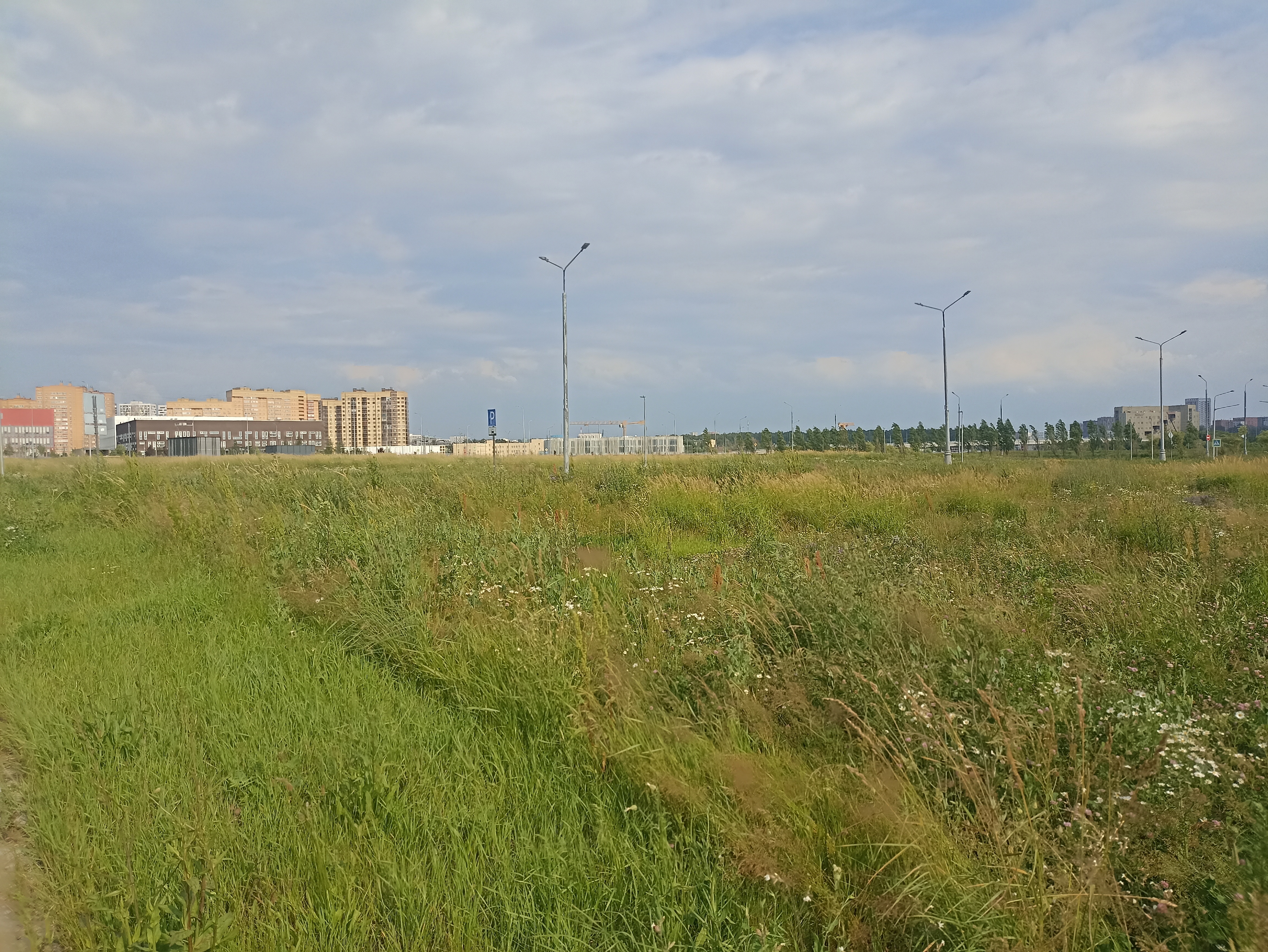 ГП16964416.Земельный участок.Общий вид объекта.jpg