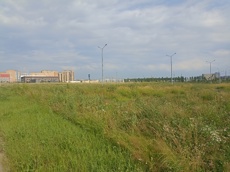 ГП16964416.Земельный участок.Общий вид объекта.jpg