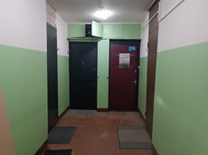 ГП16964115.Квартира.План этажа (поэтажный) с указанием границ реализуемого объекта.jpg