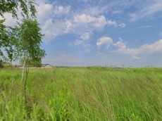 ГП16963729.Земельный участок.Общий вид объекта_10.jpg