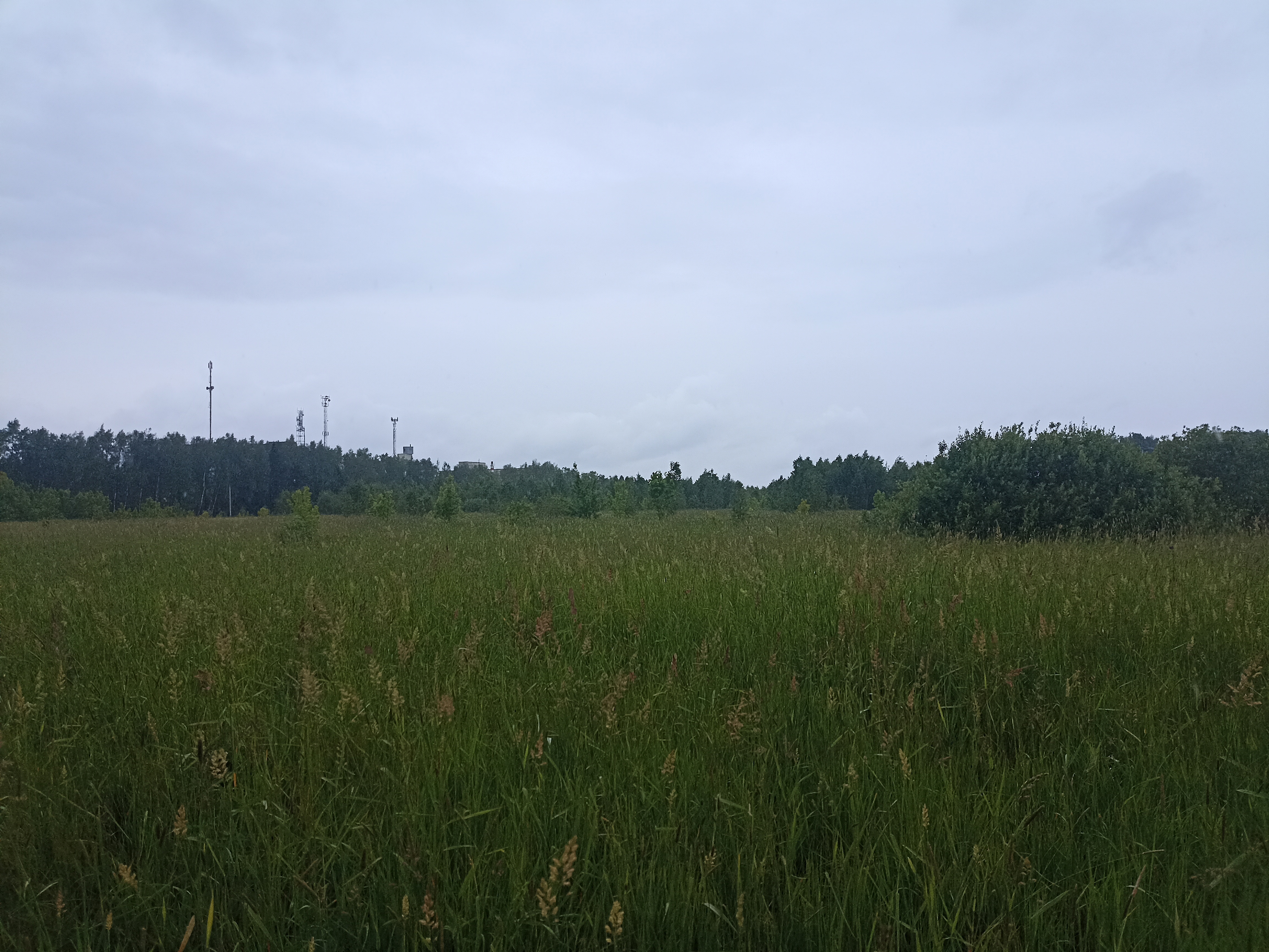 ГП16963489.Земельный участок.Общий вид объекта_3.jpg