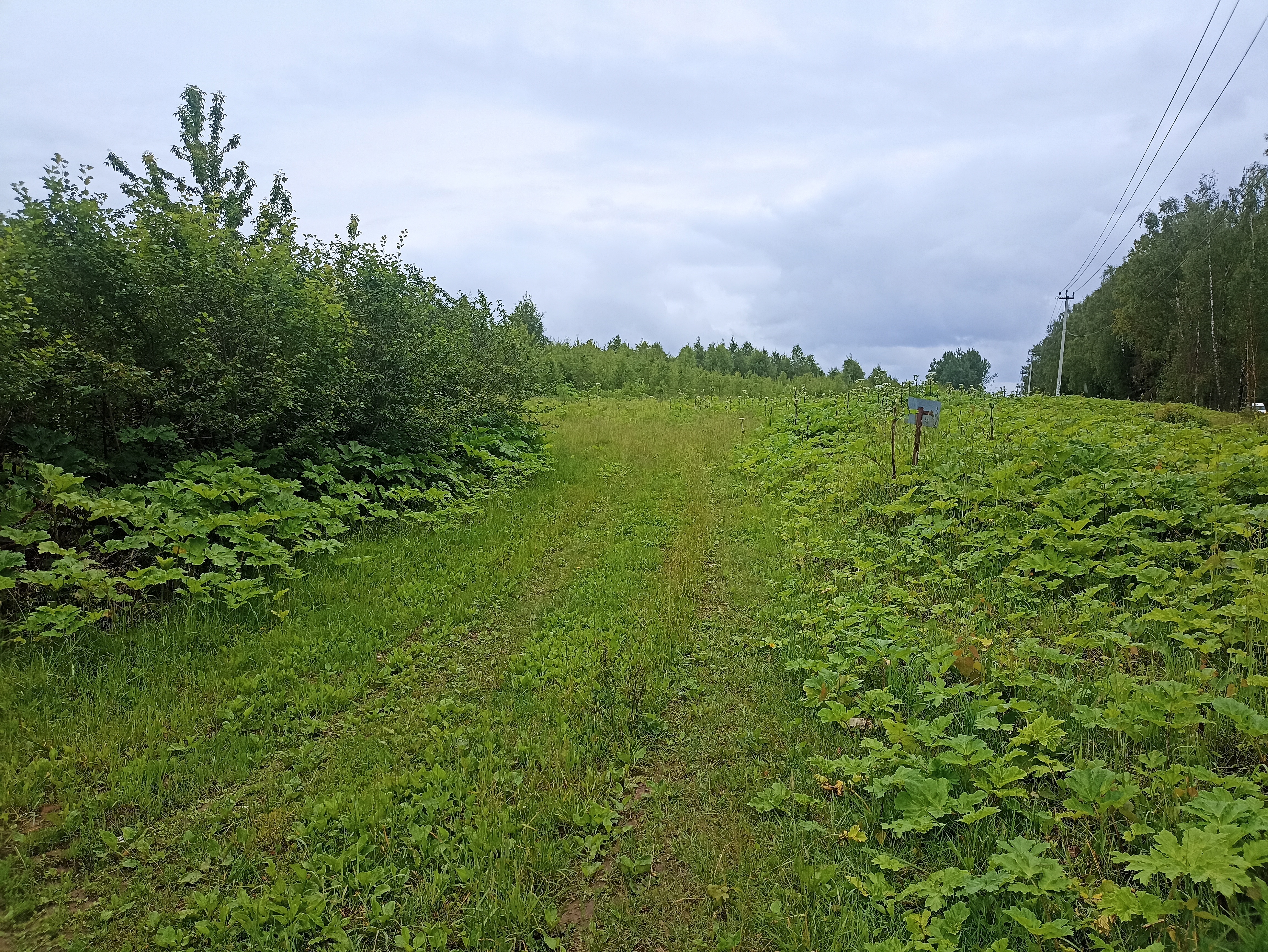 ГП16963489.Земельный участок.Общий вид объекта_10.jpg