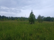 ГП16963489.Земельный участок.Общий вид объекта_7.jpg