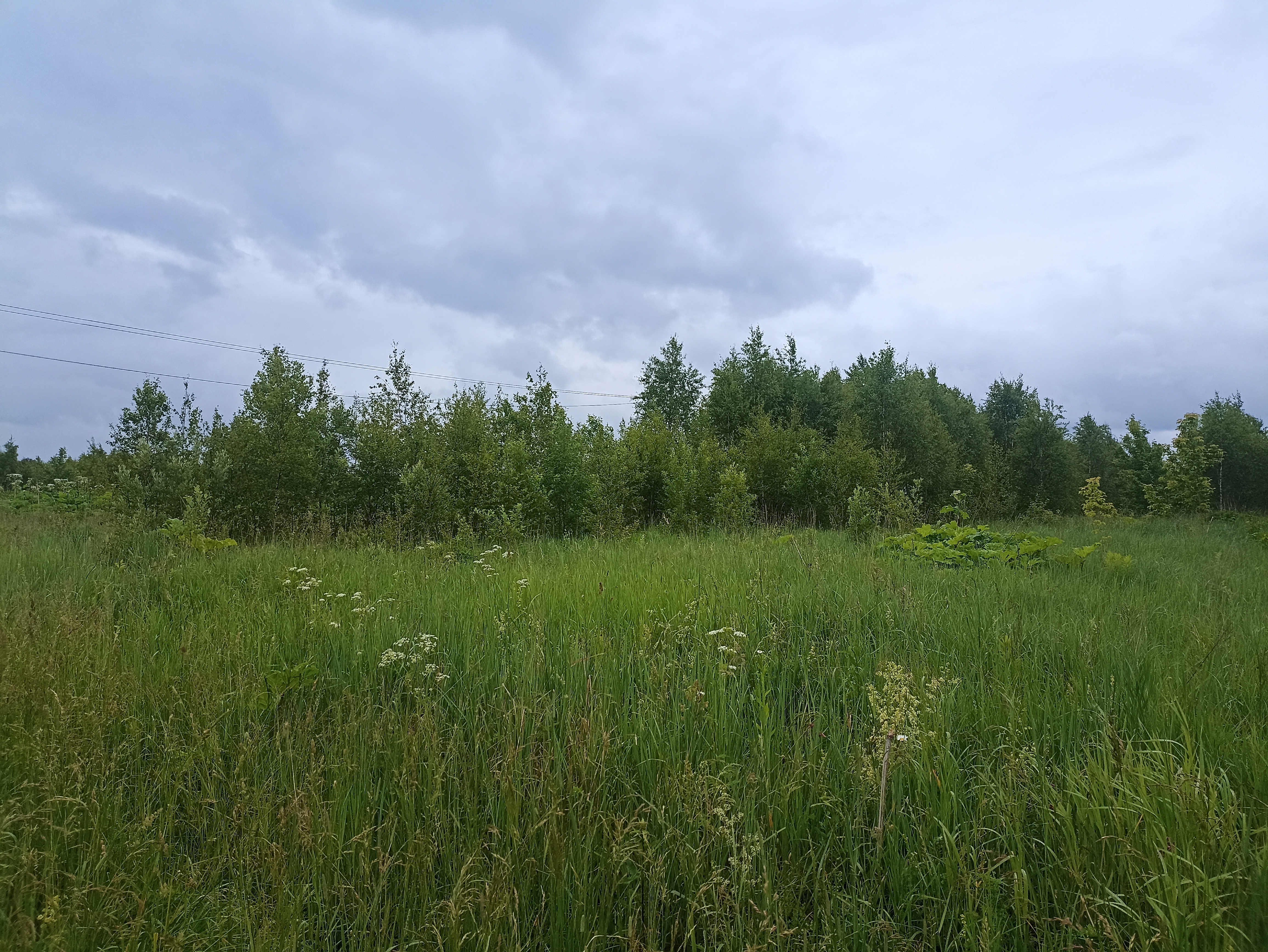 ГП16963489.Земельный участок.Общий вид объекта_10.jpg