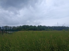 ГП16963489.Земельный участок.Общий вид объекта.jpg