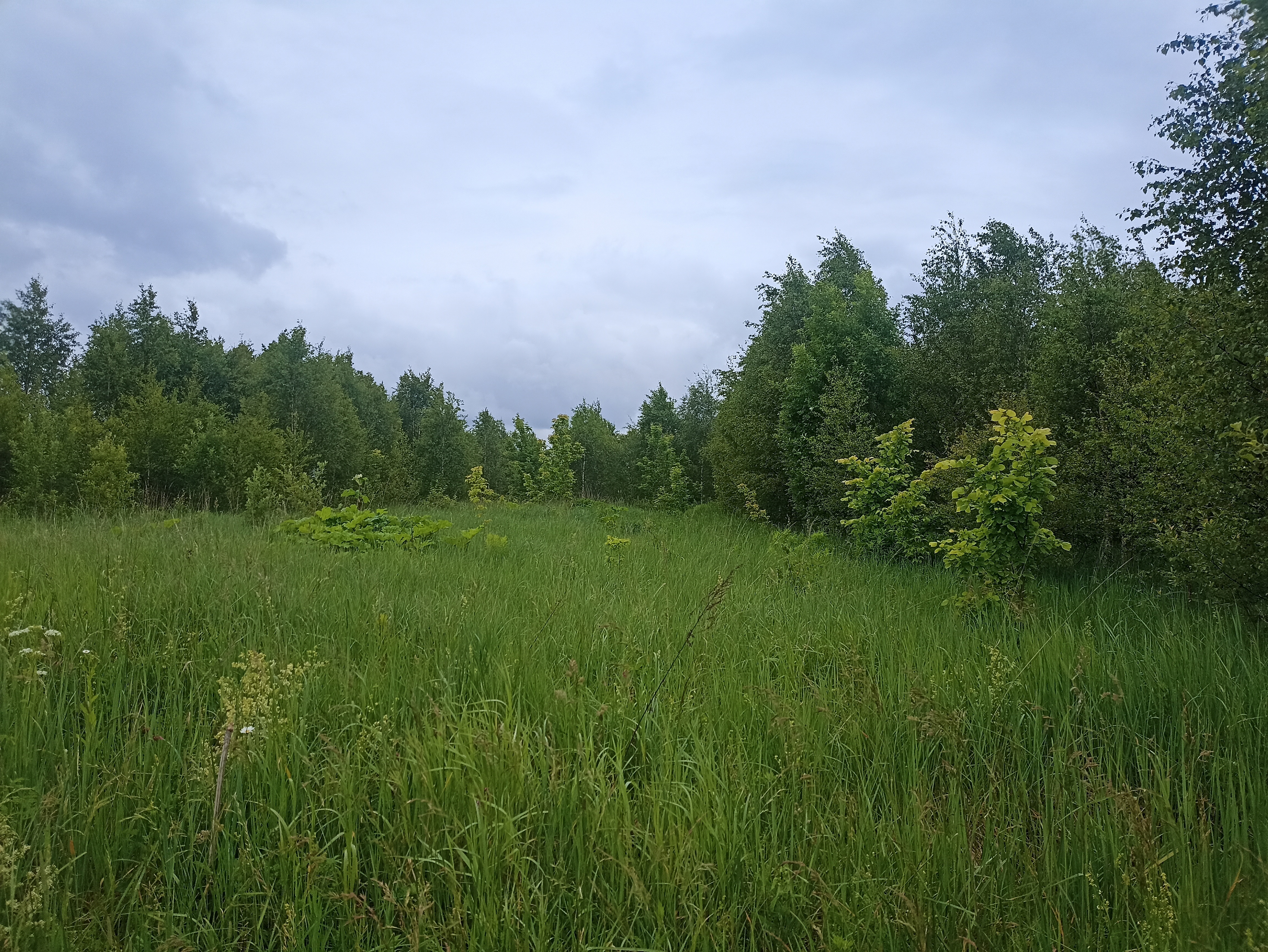 ГП16963489.Земельный участок.Общий вид объекта_10.jpg