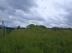 ГП16963489.Земельный участок.Общий вид объекта_4.jpg