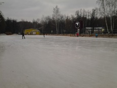 ГП16952529.Нежилое помещение.Каждое помещение_комната, входящее в состав реализуемого объекта _10.jpg