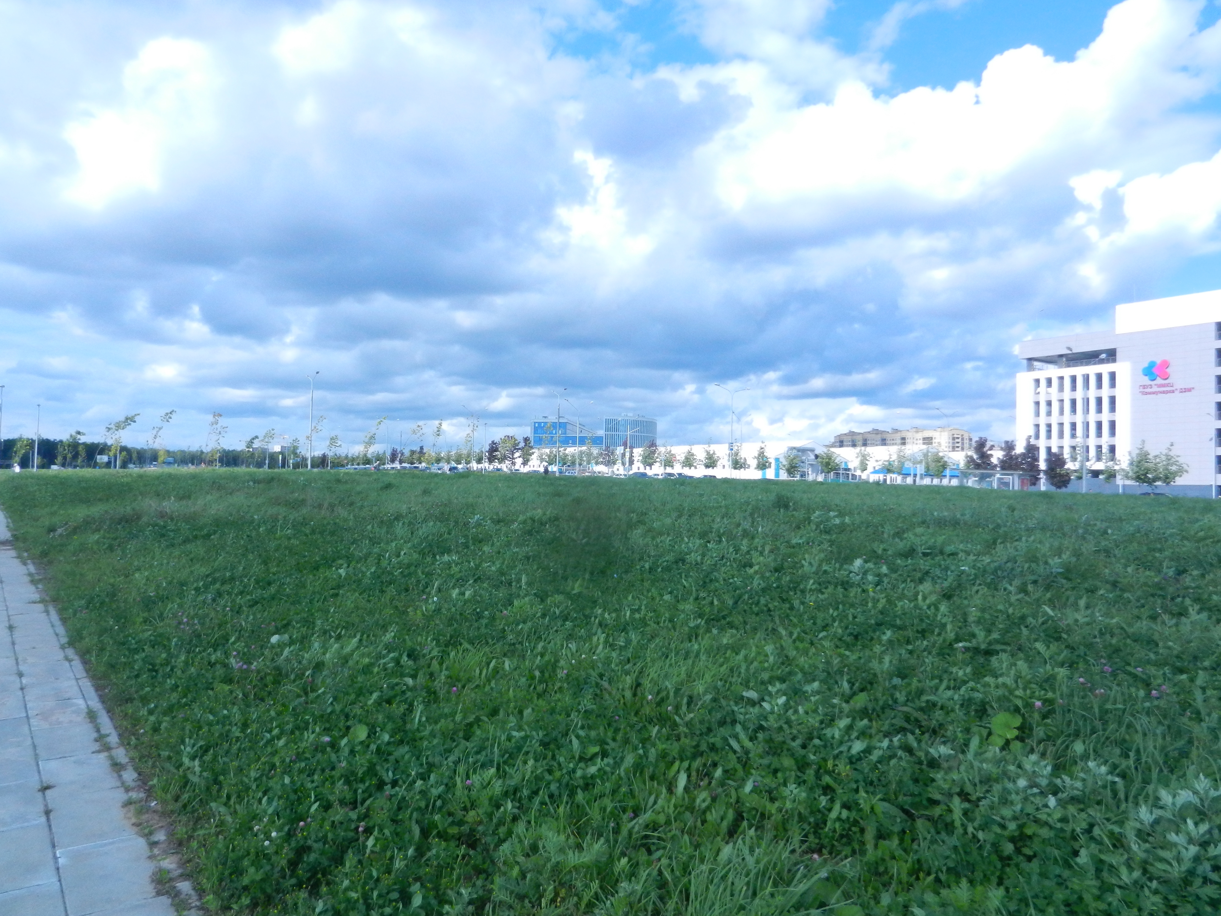 ГП16968054.Земельный участок.Общий вид объекта_4.jpg