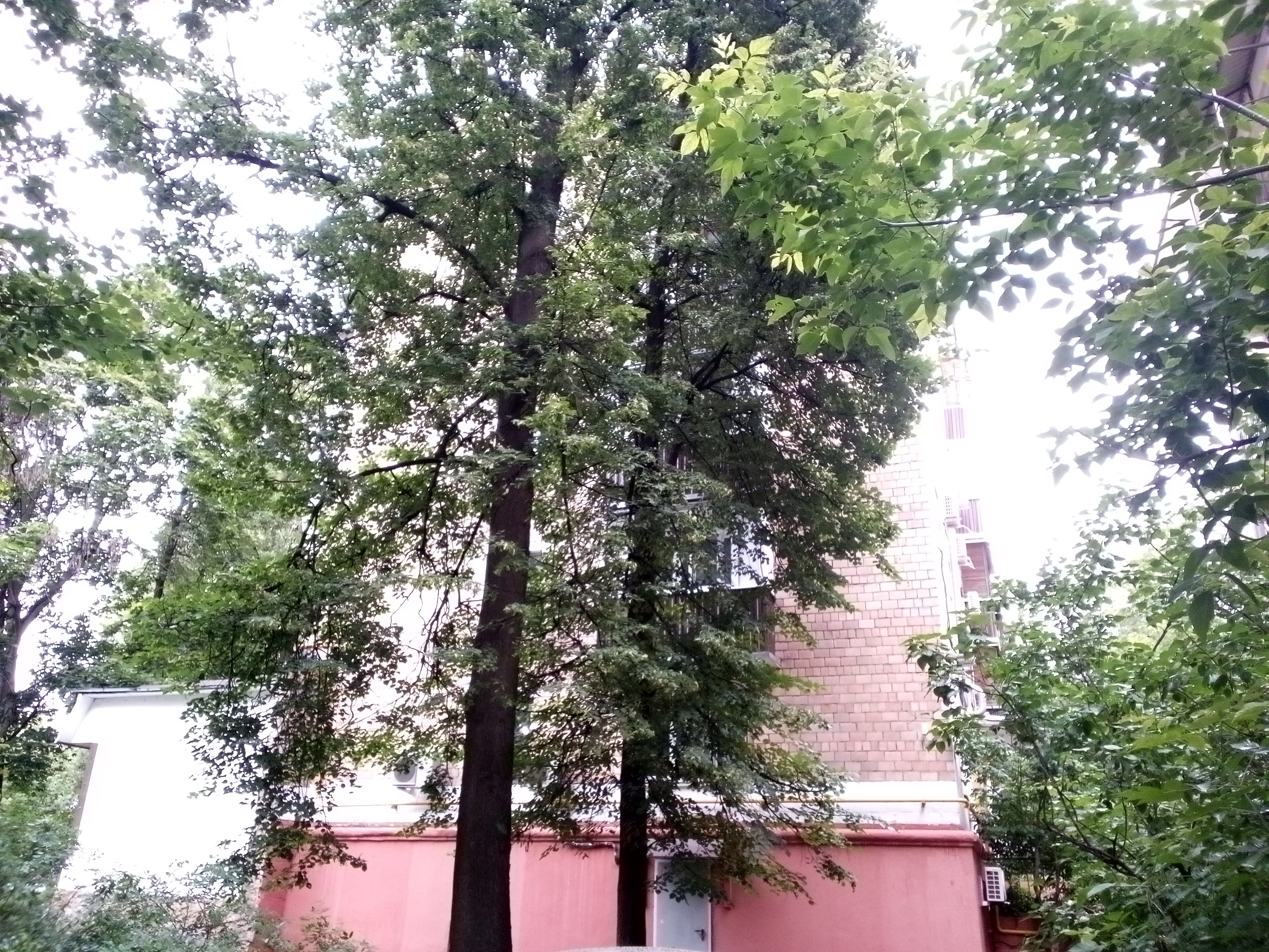 ГП16963816.Нежилое помещение.Общий фасад здания_4.jpg