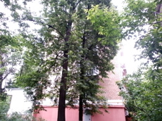 ГП16963816.Нежилое помещение.Общий фасад здания_4.jpg