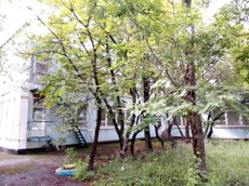 ГП16952639.Здание.Общий фасад здания_10.jpg