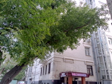 ГП16964501.Нежилое помещение.Общий фасад здания.jpg