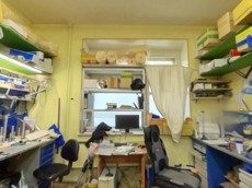 ГП16949116.Нежилое помещение.Каждое помещение_комната, входящее в состав реализуемого объекта _9.jpg