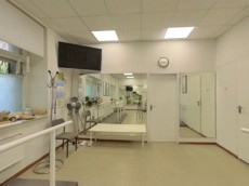 ГП16949116.Нежилое помещение.Каждое помещение_комната, входящее в состав реализуемого объекта _3.jpg