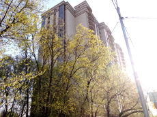 ГП16935432.Машино-место.Общий фасад здания_3.jpg