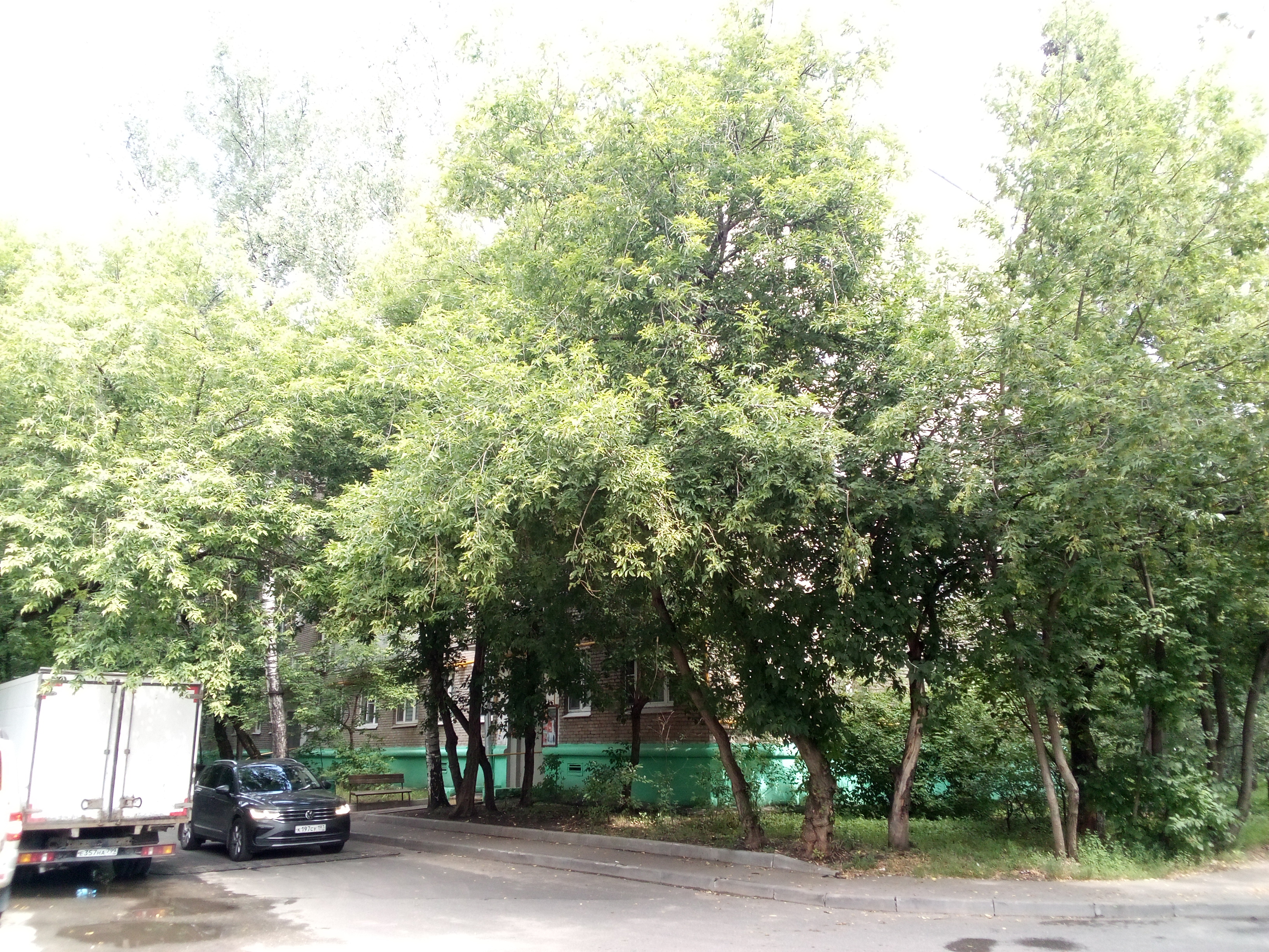 ГП16963749.Квартира.Общий фасад здания_6.jpg